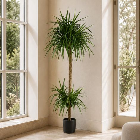 180cm Dracaena Realistic Artificial Tree Premium (1/3)