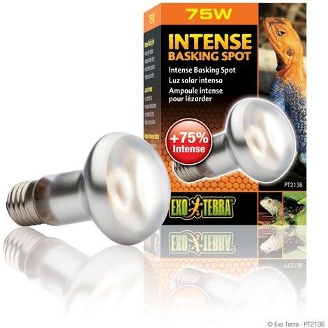 EXO TERRA INTENSE Spot crogiolarsi 75 W