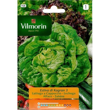 Vilmorin Salatsamen Kagraner Sommer, Ref: 928, 7 Gr