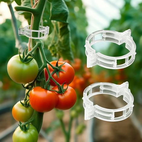 CCYKXA 50 wiederverwendbare Stützclips für Tomaten, Weintrauben, Paprika und Auberginen (1/5)