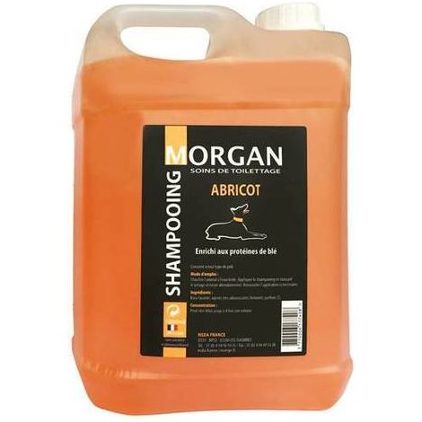Shampoing protéiné à l'abricot Morgan : 5 litres (1/2)