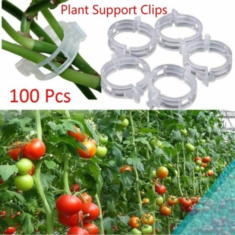 Lot de 100 clips de support transparents et résistants pour plantes grimpantes et légumes de jardin, 23 mm, pour diverses plantes (1/5)