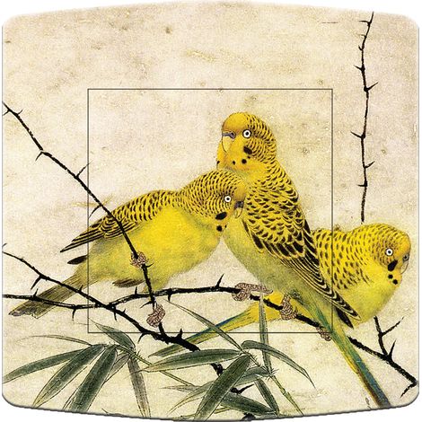 Interrupteur décoré oiseaux