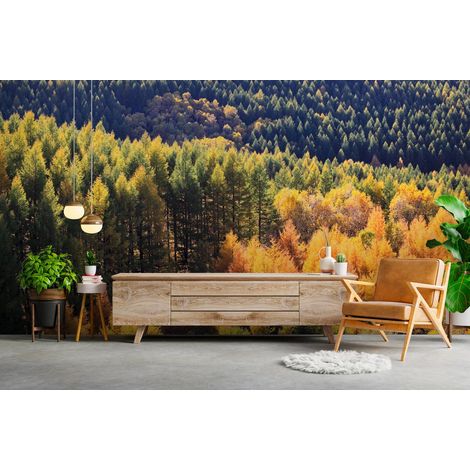 Papier peint foret sapins aux couleurs d automne - 400 x 260 cm (1/2)