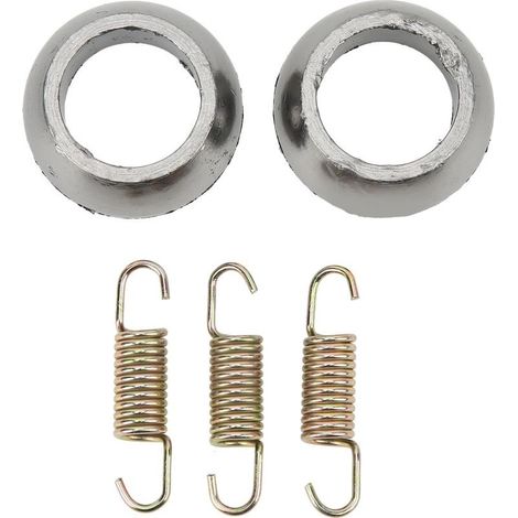Kit de ressorts de joint d'échappement 0612 530, remplacement à forte résistance pour ARCTIC CAT ATV \u200b\u200b300 2X4 1998 – 2003 (1/5)