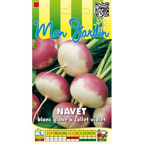 Navet blanc globe à collet violet - 5g