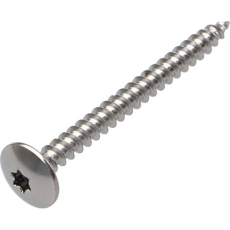Vis Penture 4.5X50 Filetage total TORX T20 Acier chrome-200 pièces