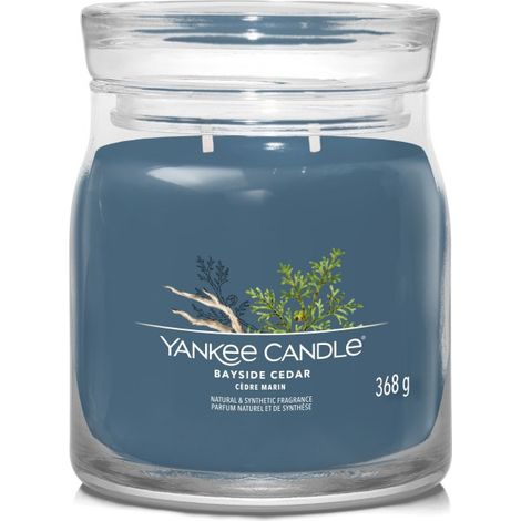 Bayside Cedar - Yankee Candle Signature - Mittlere Kerze mit zwei Dochten (1/5)