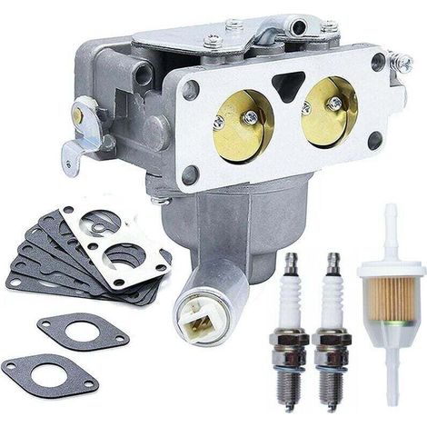 Adatto ai carburatori Briggs & Stratton 791230, 799230 e 499804, con una potenza di 20-25 cavalli.