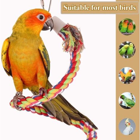 Jouet élastique en corde pour oiseaux avec clochette, perchoir suspendu en corde de coton pour perroquet, balançoire spirale colorée pour perruche, jouet à mâcher et à grimper, résistant aux morsures