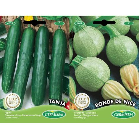 graines Concombre long TANJA (1/3)