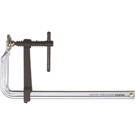 Teng Tools Pressa a vite in acciaio 160 mm serraggio preciso