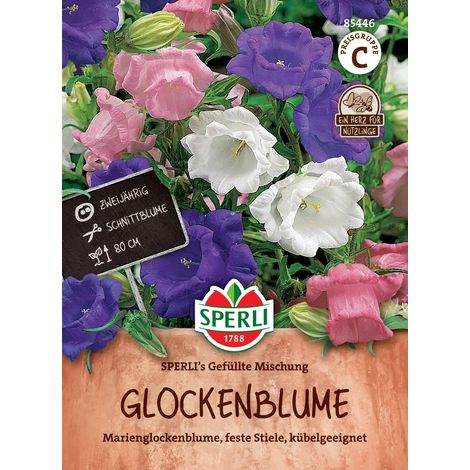 Sperli Glockenblumen Empito Mischung - Blumensamen (1/2)