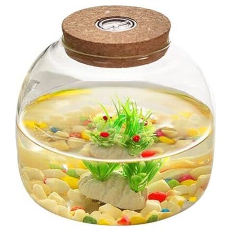 Terrarium en Verre pour Plantes, 1600 ML de Terrarium végétal avec Couvercle de liège, Grand Pot d'ouverture pour Mini Succulent dans Le Paysage, affichages Floraux, Collections d'artisanat et etc. (1/5)