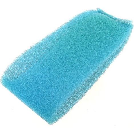 Filtre en mousse pour Nettoyeur vapeur Polti