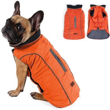 Vêtements chauds pour animaux, XXL-orange