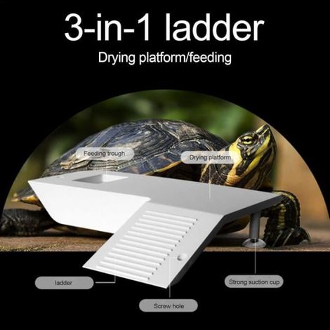 Plateformes pour se prélasser pour tortues,Plateformes pour se prélasser tortues aquatiques,Plateformes de tortues Scène d'escalade (1/4)