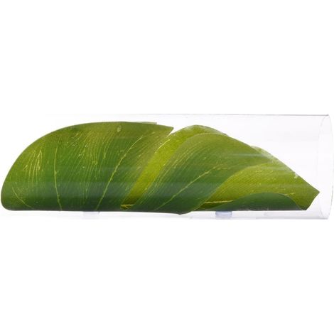 Tunnel d'Observation en Acrylique pour Aquarium - Tube Creux Transparent avec Feuilles pour Poisson, Stimule l'Exploration (1/4)