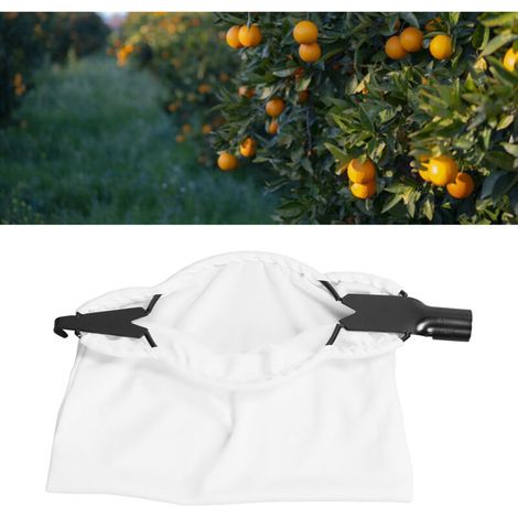 Découpeur de Fruits à Long Manche Extensible pour Récolte en Hauteur - KZQ (1/5)