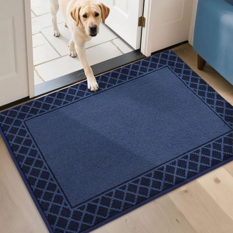 Tapis Entrée Intérieur, TPR Antidérapant, 80 x 120cm, Bleu (1/5)