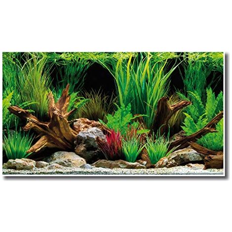 Sfondo doppio Wonder blister 45x100 cm