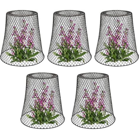 Tuteur pour végétaux, Cloche de protection pour plantes en métal - Lot de 5, Noir (1/5)