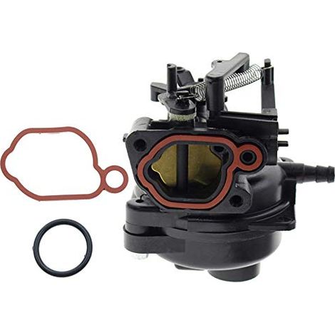 Haplws 799584 Mähervergaser Passend für Briggs Stratton 9P702 09P702 550EX Motor mit 2 Dichtungen