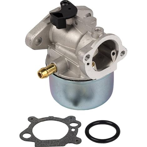 Carburateur 799868 avec joint et joint torique de Compatible with carburateur Briggs & Stratton 498170 498254 497347 497314 (1/5)