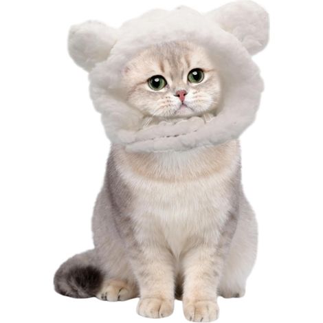 Dog Hat Warm Dog Cat Bear Hat, Breathable Costume for Small (1/5)