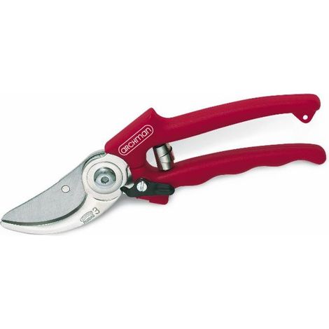 Sécateur professionnel d'élagage L 210 mm coupe Ø 24 mm (1/3)