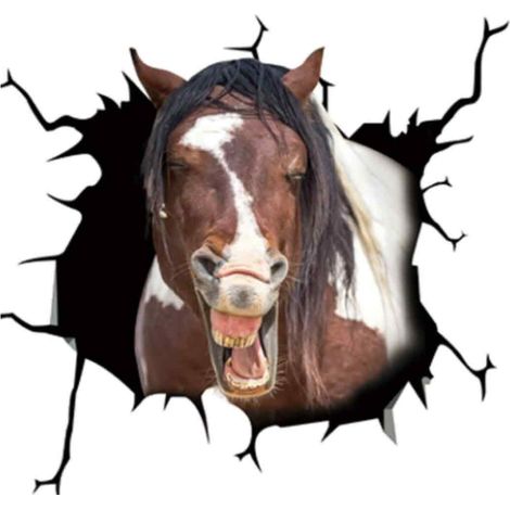 1 Sticker électrostatique, Tête de cheval, Design créatif, Matériau imperméable, Pour vitres voiture maison (1/5)