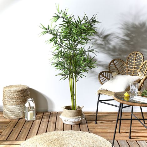 Plante Artificielle - HOME DECO FACTORY - Bambou - Vert (1/5)
