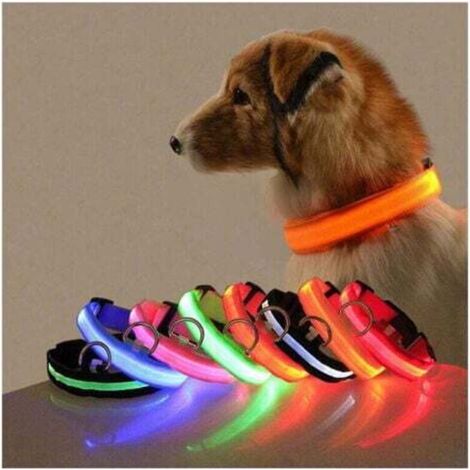 Orange and blue light, 2-pack LED dog collar, adjustable length, USB charging.