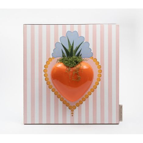 Plante succulente en céramique Made in Italy Cœurs Rayures - Rose (1/2)