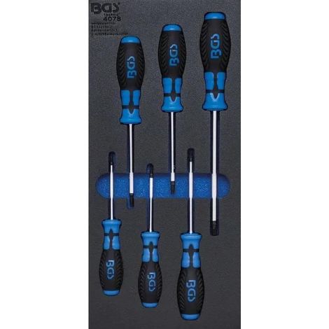 Herramienta manual BGS Technic Juego destornilladores T15 a T40