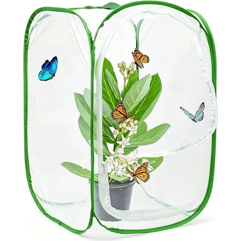 Cage d'habitat pour Papillons et Insectes, Cage en Maille Pliable Insect, Cage d'habitat Portable pour Insectes, pour L'habitat des Insectes, La Reproduction des Semis (40  40  60cm) Vert