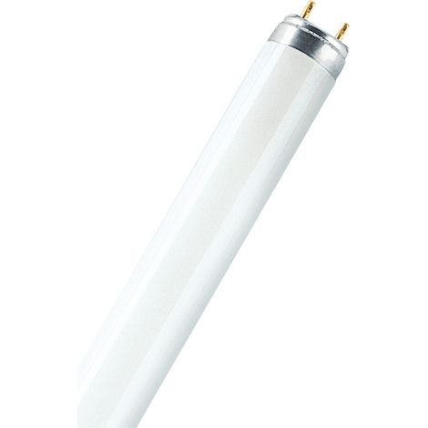 Tubetto fluorescente 18 W 6500 K 1250 Lm T8 60 cm G13 Luce Fredda