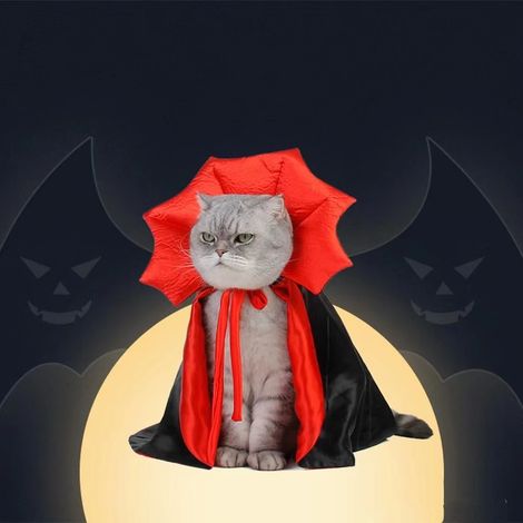 Déguisement d'Halloween pour animaux de compagnie : Cape de vampire mignonne pour chat ou chien (noir et rouge). (1/5)