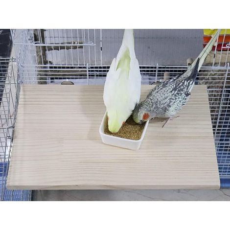 Plateforme pour Oiseaux de 40 x 26 cm, Perchoir en Bois Naturel pour Animaux, Accessoire de Cage pour Perruches, Cockatiels, Rats, Hamsters, Cochons d'Inde (1/4)