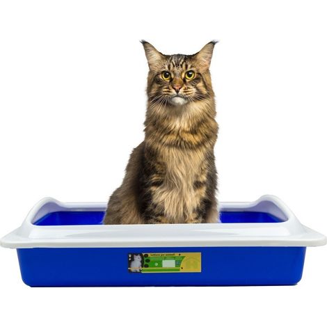TrAdE Shop Traesio - Welkhome Lettiera Con Bordo Rialzato Smontabile Per Gatti Gatto 35 X 45 X 10 Cm - (1/4)