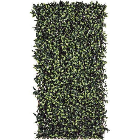 CELOSIA EXTENSIBLE TRELLIBAMBU BICOLOR 1X2 M NORTENE (1/3)