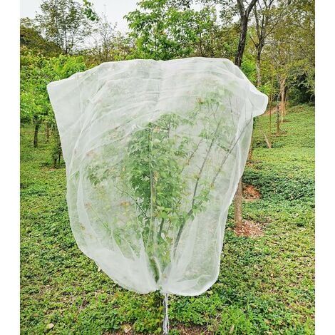 Filet Arbre Fruitier 1.8m X 1.8m, Filet Anti-Insectes pour Plantes, Filet Anti Insectes Maille Fine avec Cordon de Serrage, Filets Anti Oiseaux pour Protection Fruitiers, Arbre (1/5)