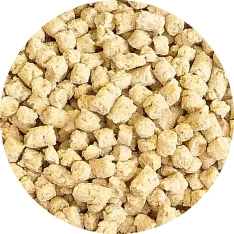 VETAFARM - Dieta di mantenimento - Granuli per tutto l'anno per TUTTI I PAPPAGALLI 2 kg (1/3)