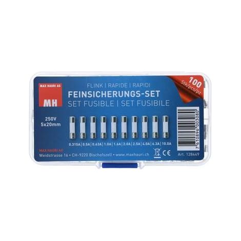 Fusible micro max-hauri-ag 128449 respuesta rápida tubo transparente