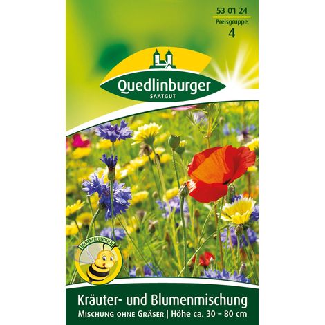 Quedlinburger Saatgut – Mélange de plantes herbacées et de fleurs – Graines pour pelouse fleurie, hauteur 30-80 cm, environ 2 m² (1/2)