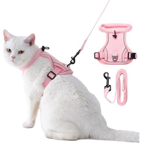 Harnais pour Chat avec Laisse Réglable Harnais Chat Adulte et Chaton en Maille Respirante Réfléchissante pour Promenade (1/5)