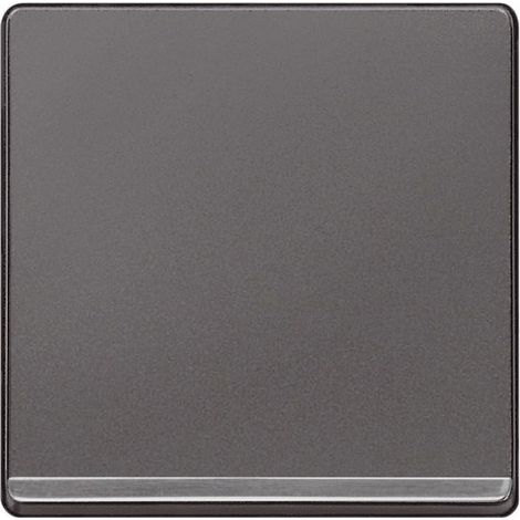 Tecla decorada en cromo en carbono  Siemens Delta MIRO 5TG62705CC00