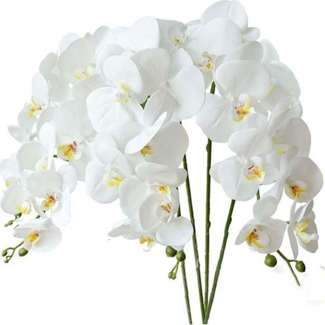 4 künstliche Phalaenopsis-Orchideen, weiße Blüten, 70 cm, mit künstlichen Orchideenblättern (1/3)