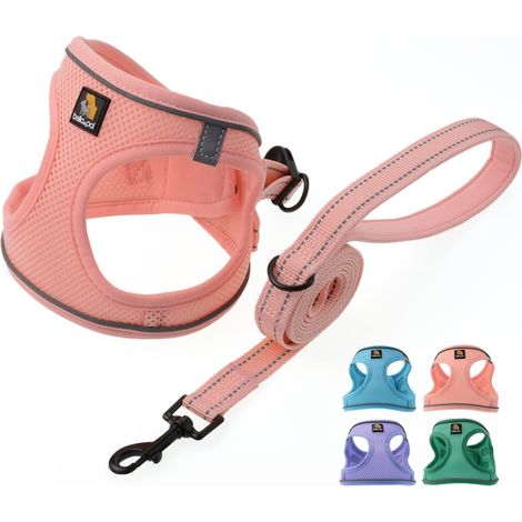 Harnais pour chat et chien avec laisse réglable, ensemble de harnais respirant et réfléchissant, confortable et sécurisé pour animaux de compagnie (1/5)
