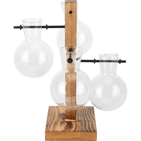 Innovative Hydroponic Vase with Wooden Stand Transparent Desktop Flower Vase for Home (1/5)